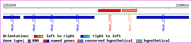 gene map