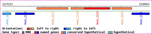 gene map