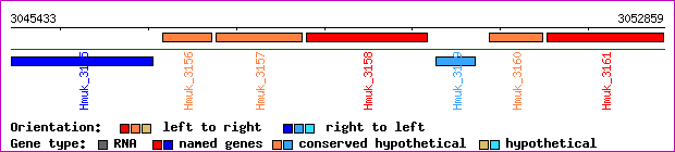 gene map