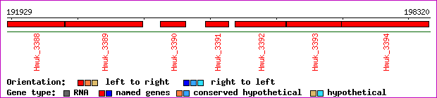 gene map