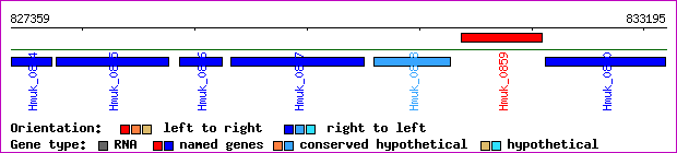 gene map