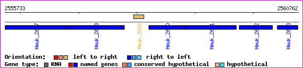 gene map