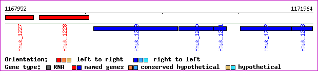 gene map