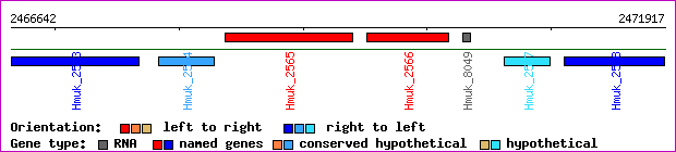 gene map