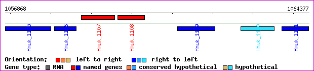 gene map