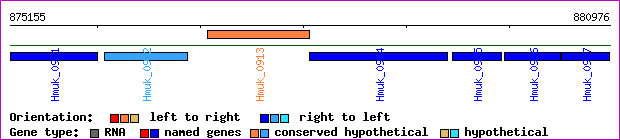 gene map