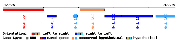 gene map