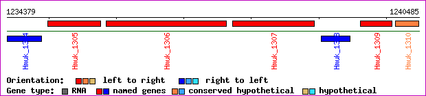 gene map