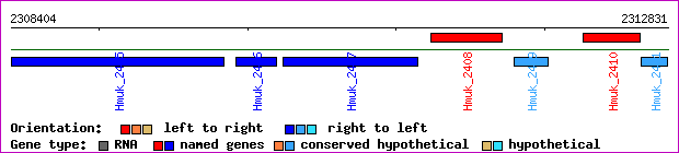 gene map