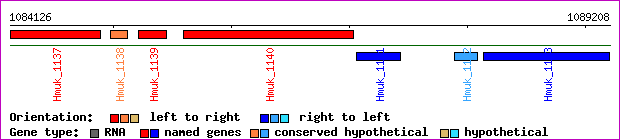 gene map