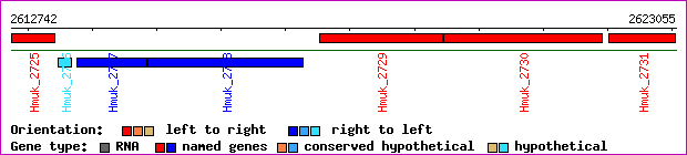 gene map