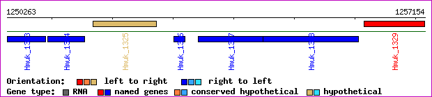 gene map