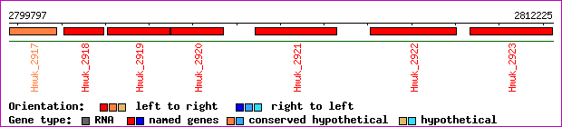 gene map