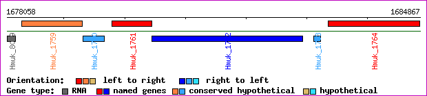 gene map