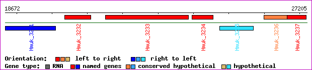 gene map