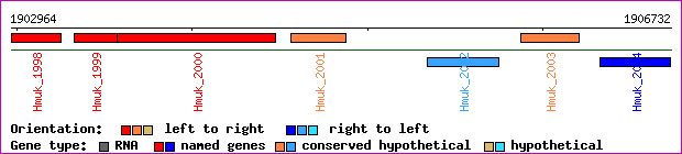 gene map