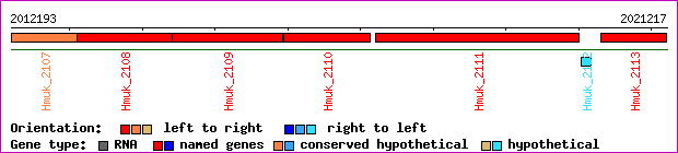 gene map