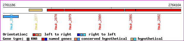 gene map