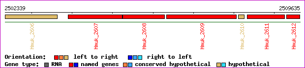 gene map