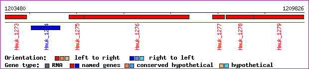 gene map