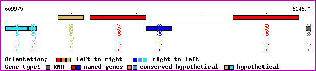 gene map