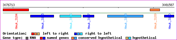 gene map