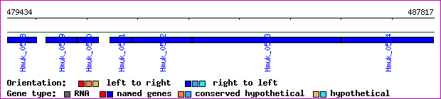 gene map