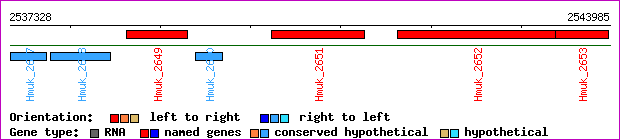 gene map