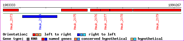 gene map