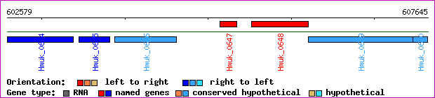 gene map