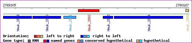 gene map