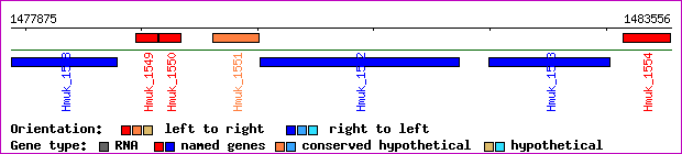 gene map