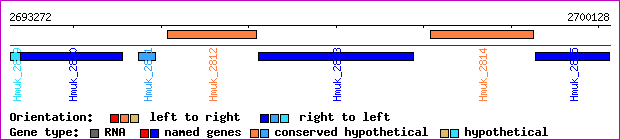 gene map