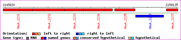 gene map