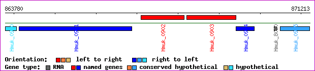 gene map