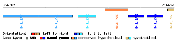 gene map