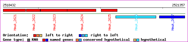 gene map