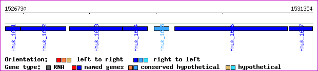 gene map