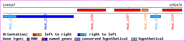 gene map