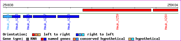gene map