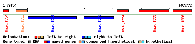 gene map