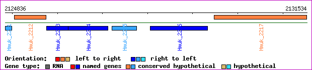 gene map