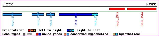 gene map