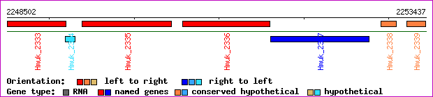 gene map