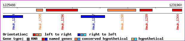 gene map