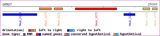 gene map