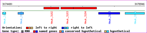 gene map