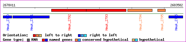 gene map