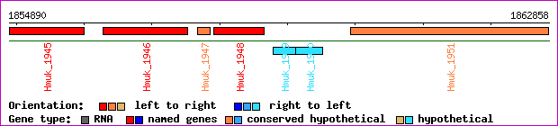 gene map
