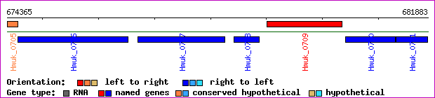 gene map